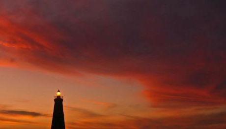 La Cueva del Pardelo - Foto 4