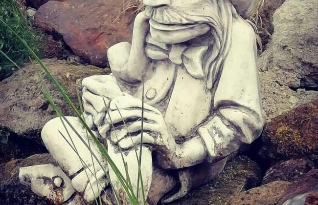 Pension Zelený grunt - Photo 58