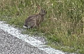 casa di Eva - Photo 22