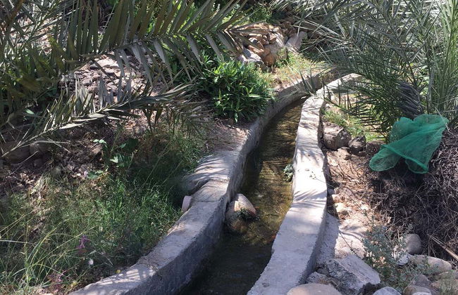 Tour privado en 4x4 por Ras al Khaimah - Foto 6