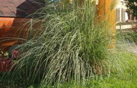 Haus Vis a Vis 1 - Foto 37