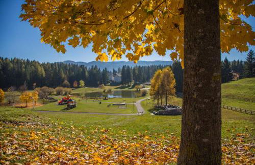 Chalet Laila - Foto 36