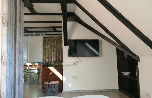 alte Apotheke - Foto 21