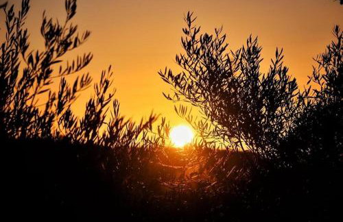 Los Chozones - Foto 58