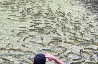 CASA PE DE PEQUI - Foto 9