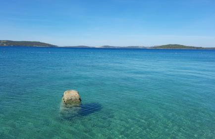 Oleander adria - Foto 38