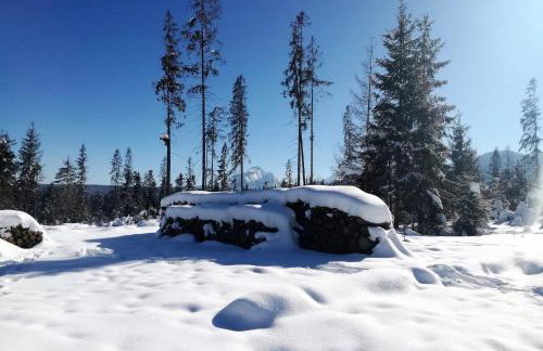 Apartament Górski Potok Murzasichle Apartamenty Murzasichle PL - Foto 73