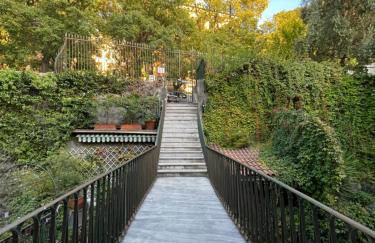 L'ulivo e il colibrì - Foto 44