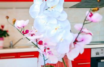 Apartments Ljubo - Foto 23