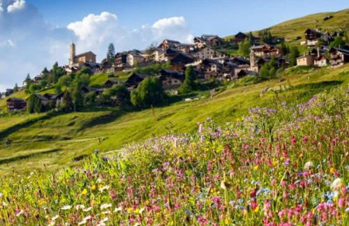 Casa-La Carotto Appartement pour 6 dans chalet - Foto 1