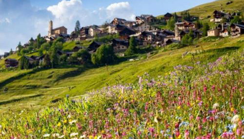 Casa-La Carotto Appartement pour 6 dans chalet - Foto 1, Other