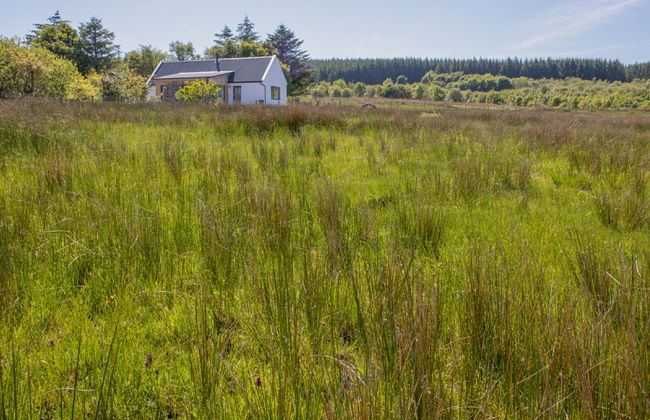 Finnan's Byre - Foto 35