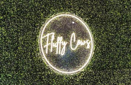 1B Luxury European Barndo FARM STAY Wedding Venue - Foto 28