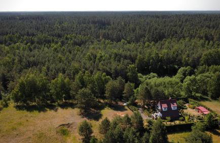 Zakątek na skraju lasu - Foto 19