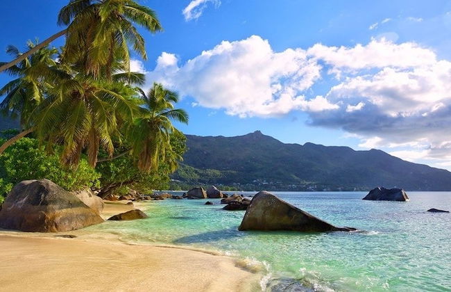 South Point Villas - Photo 46