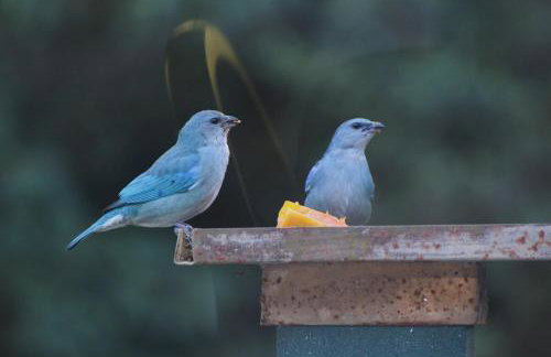 Serra Nevada House - Foto 60