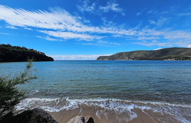 Camping Lacona Pineta - Photo 13