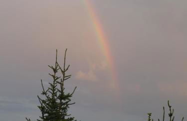 Helle 70 qm Ferienwohnung mit herrlichem Blick - Foto 31