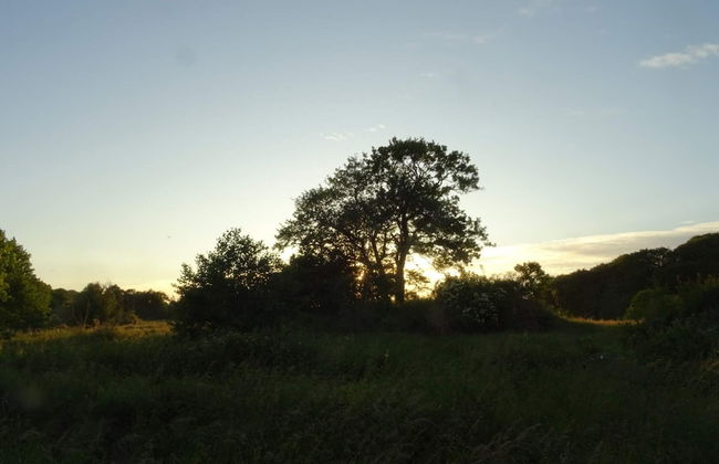 6 Person Holiday Home in Ebeltoft - Foto 14