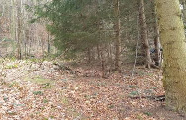 Waldhaus Hempe - Photo 28