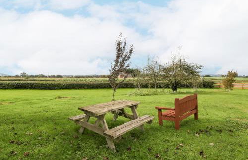 The Pheasant One - Foto 19