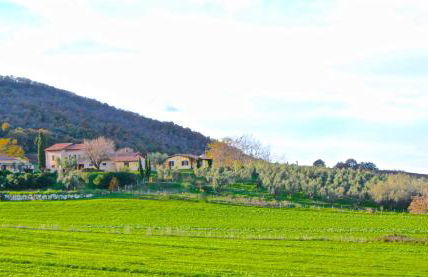 Agriturismo Terre di Musignano - Foto 41