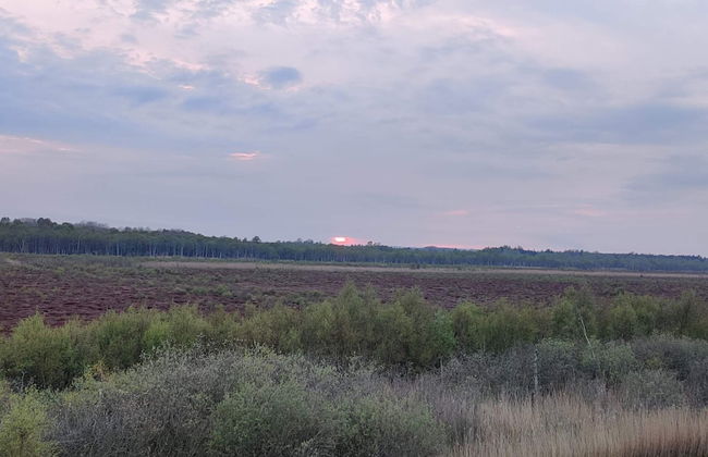 8 Person Holiday Home in Gjern-by Traum - Photo 17