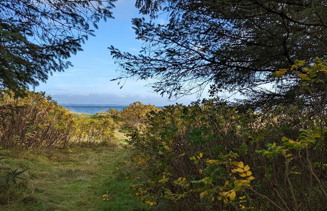 6 Person Holiday Home in Thyholm - Foto 15