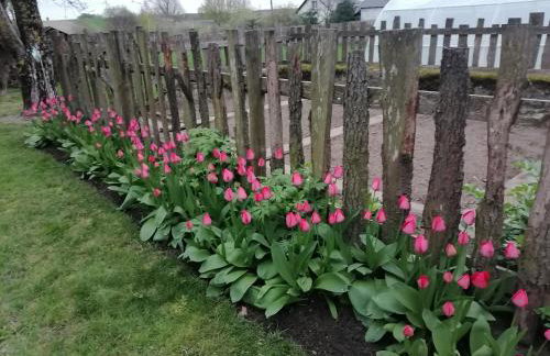 Domek na wsi Wiejsko Czarodziejsko - Agroturystyka Podlasie - Foto 58