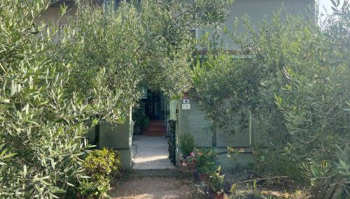 Case vacanze Efisio e Vilma - Foto 2, Garden