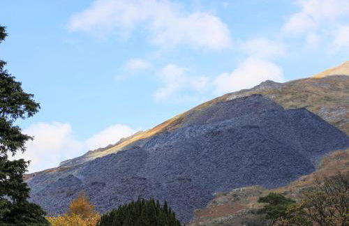 Llwyn Bedw - Photo 34