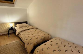 Ferienhaus Schilz II - Urlaub auf dem Bauernhof - Foto 2