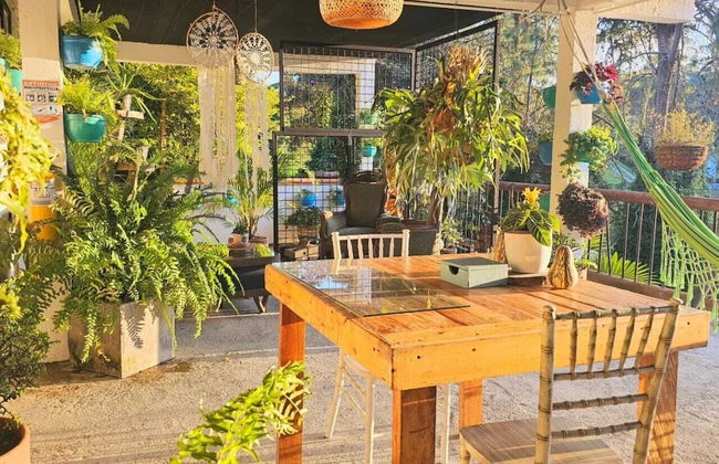 ecohotel zona 7 - Photo 55