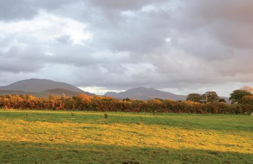 Seion - Hw7575 - Foto 6