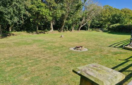 Beautiful Cabin near Padstow - Foto 47