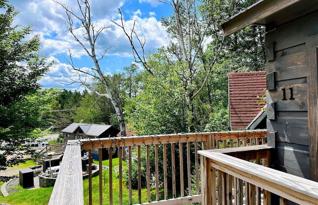 B11 NEW Awesome Tiny Home With A C Mountain Views Minutes to Skiing Hiking Attractions - Photo 3