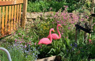 Strandlust Döbeln - Bungalow für eine gemütliche Auszeit zu jeder Jahreszeit - Foto 19