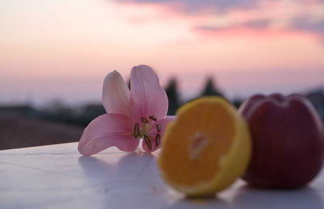 Pansion Filoxenia Apartments & Studios - Foto 24