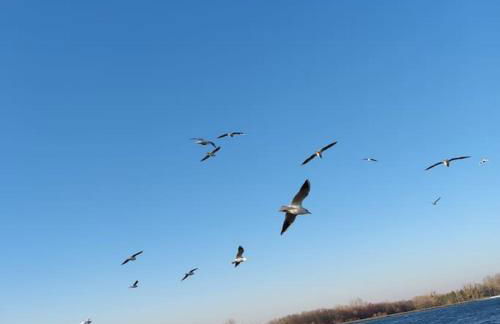 Ferienwohnung Baden Baden Rastatt Elsass - Foto 20
