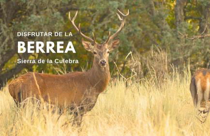 Casas Rurales Los Geijos - Foto 23