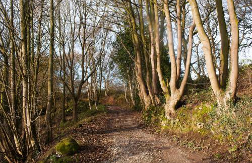 Pheasants Nye - Foto 12