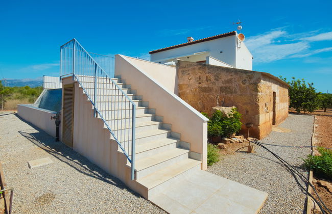 Son Vivot - Photo 54