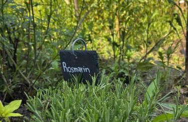 Luxus Studio 10 Min zur Porta Nigra inkl Parkplatz - Foto 52