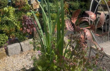 The Little Red lion - Foto 6