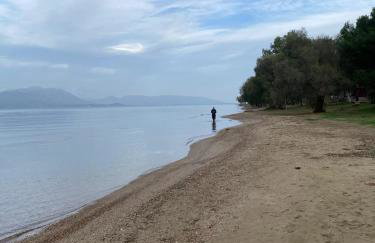 Cosy spot near the beach only 45 min from Athens - Foto 25