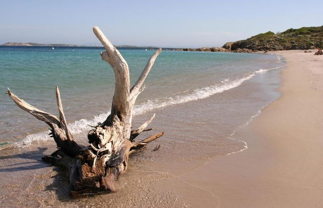 HOTEL MARINA DI CAVU BONIFACIO - Photo 27