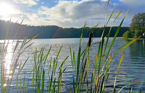 Scandinavian-style lake house - Photo 30