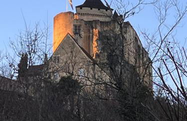 Vue magique à Castelnaud - Foto 26