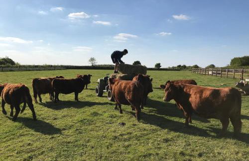 Entire flat 2 to 4 pers 1 bed 1 bath disabled access for limited disability - Foto 27