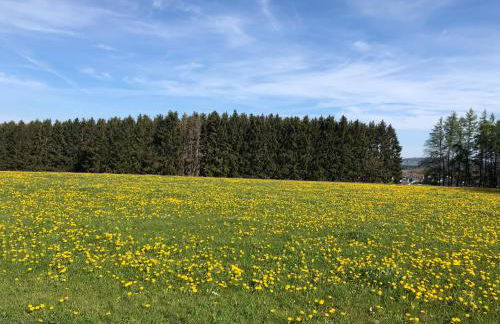 Ferienwohnung am Wald - Foto 53